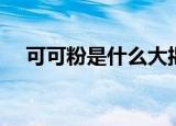 可可粉是什么大揭秘（可可粉简单介绍）