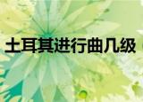 土耳其进行曲几级（土耳其进行曲是第八级）