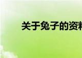 关于兔子的资料（有关兔子的资料）