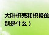 大叶枳壳和枳橙的区别（大叶枳壳和枳橙的区别是什么）