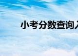 小考分数查询入口（小考分数查询）