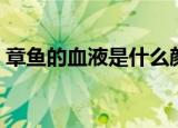 章鱼的血液是什么颜色的（章鱼的血液介绍）