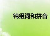 钝组词和拼音（钝的组词以及释义）