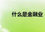 什么是金融业（金融业的简单介绍）