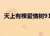 天上有棵爱情树91（天上有棵爱情树结局）
