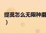 提莫怎么无限种蘑菇（提莫无限种蘑菇的方法）