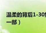 温柔的背后1-30集免费观看（温柔的背后第一部）