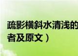 疏影横斜水清浅的下一句（疏影横斜水清浅作者及原文）