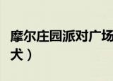 摩尔庄园派对广场怎么去（摩尔庄园派对礼宾犬）