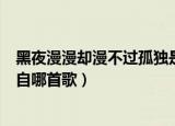 黑夜漫漫却漫不过孤独是什么歌（黑夜漫漫却漫不过孤独出自哪首歌）