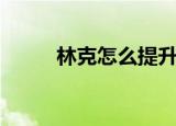 林克怎么提升血量（林克怎么抓）