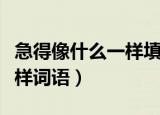 急得像什么一样填词语（怎样填急得像什么一样词语）