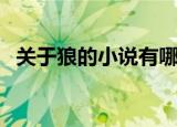 关于狼的小说有哪些（关于狼的小说分享）