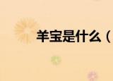 羊宝是什么（它有什么营养价值）