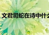 文君司蛇在诗中什么意思（文君司蛇的意思）