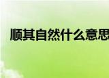 顺其自然什么意思（顺其自然解释及出处）