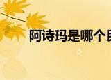 阿诗玛是哪个民族的（阿诗玛简介）
