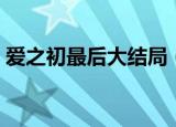 爱之初最后大结局（爱之初最后大结局介绍）