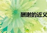 酬谢的近义词（酬谢的意思）