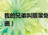 我的兄弟叫顺溜免费看（我的兄弟叫顺溜片尾曲）