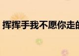 挥挥手我不愿你走的歌名是什么（歌词展示）