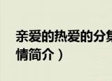 亲爱的热爱的分集剧情（亲爱的热爱1-41剧情简介）