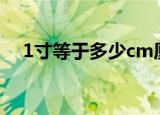 1寸等于多少cm厘米（一起来了解一下）