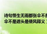诗句怪生无雨都张伞不是遮头是使风的意思（怪生无雨都张伞不是遮头是使风释义）