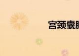 宫颈囊肿（宫优酷网）
