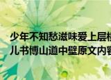 少年不知愁滋味爱上层楼为赋新词强说愁是什么意思（丑奴儿书博山道中壁原文内容及翻译）