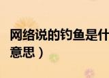 网络说的钓鱼是什么梗（网上说的钓鱼是什么意思）