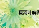 夏河叶航微博（夏河 叶航）