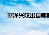 望洋兴叹出自哪里（望洋兴叹简单介绍）
