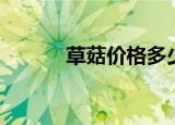 草菇价格多少一斤（草菇价格）