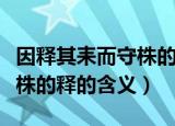 因释其耒而守株的释什么意思（因释其耒而守株的释的含义）