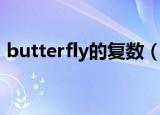 butterfly的复数（butterfly的复数怎么写）