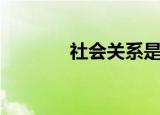 社会关系是什么（包括什么）