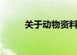 关于动物资料大全（动物的简介）