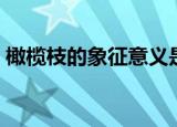 橄榄枝的象征意义是什么（橄榄枝有啥寓意）