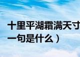 十里平湖霜满天寸寸青丝愁华年什么意思（下一句是什么）