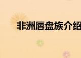非洲唇盘族介绍（非洲唇盘族的资料）