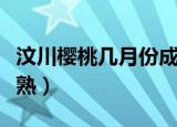 汶川樱桃几月份成熟（汶川樱桃具体几月份成熟）