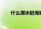 什么潮水赶海好（什么潮水连江平）