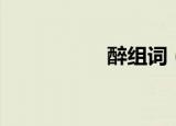 醉组词（醉如何组词）