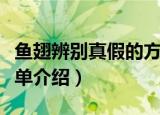 鱼翅辨别真假的方法（鱼翅辨别真假的方法简单介绍）