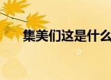 集美们这是什么梗（简述集美们的梗）