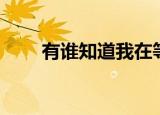 有谁知道我在等你陈瑞（有谁知道）