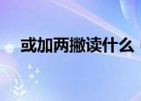 或加两撇读什么（或加两撇是什么字呢）