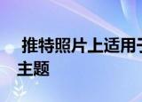  推特照片上适用于安卓12表面的酷炫新壁纸主题