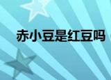赤小豆是红豆吗（赤小豆是否就是红豆）
